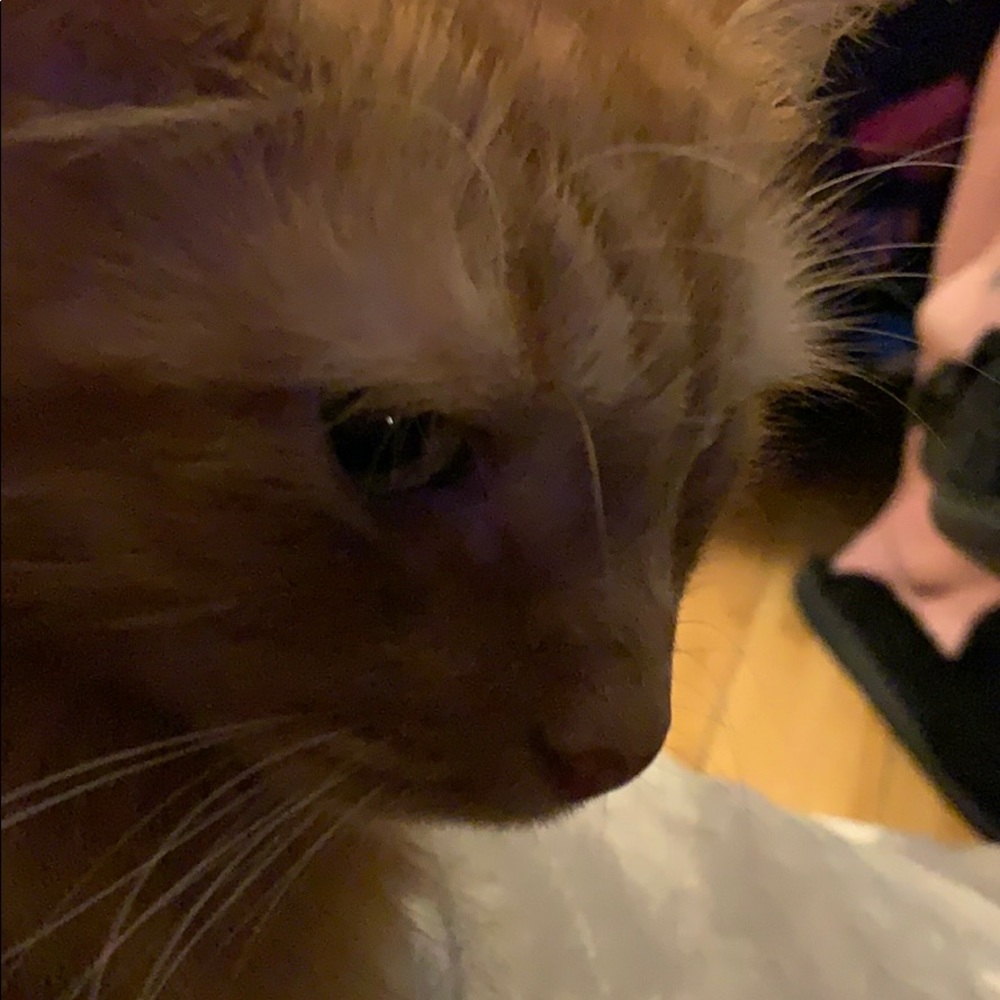 Meet your Posher, Gabbie